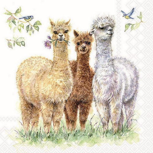 20 Servietten Alpaca Friends - Alpakas treffen sich 33x33cm