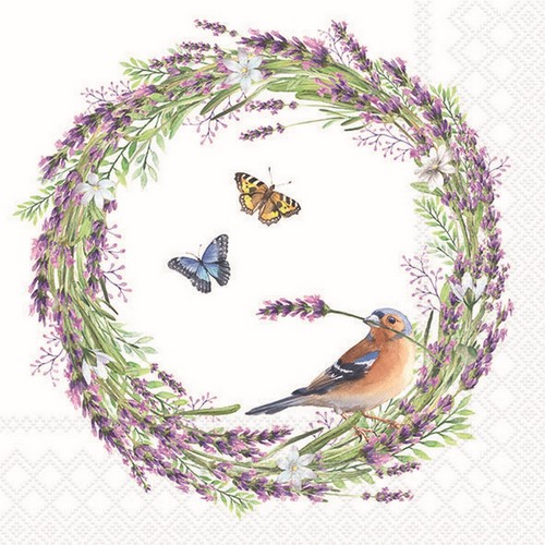 20 Servietten Chaffinch white - Buchfink im Kranz 33x33cm