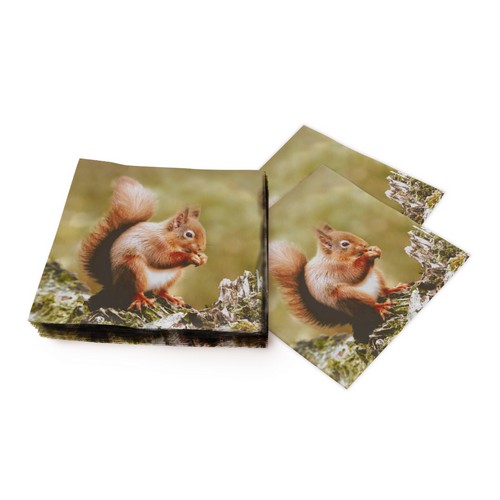 20 Servietten Woodland squirrel - Eichhörnchen aus der Natur 33x33cm