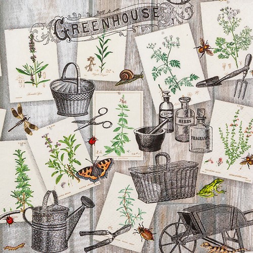 20 Servietten Green House - Anbau von Kräuter 33x33cm