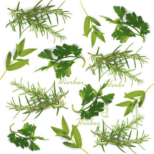 20 Servietten Herbs - Grüne Kräuter 33x33cm