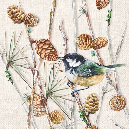 20 Servietten Bird on Branch cream - Vogel umgeben von Zapfen 33x33cm