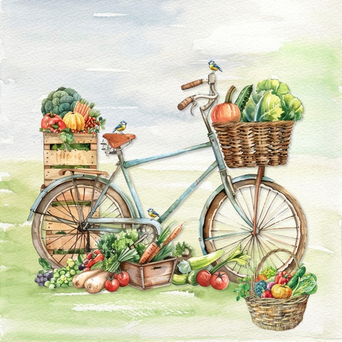 20 Servietten Farmers Market - Fahrrad voller Gemüse 33x33cm