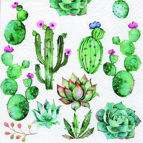 20 Servietten Cactus & Succulents - Kakteen und Sukkulenten 33x33cm