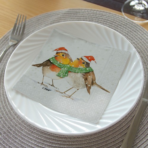 20 Servietten Frida & Fritz Winter - Wintervögel verbunden 33x33cm