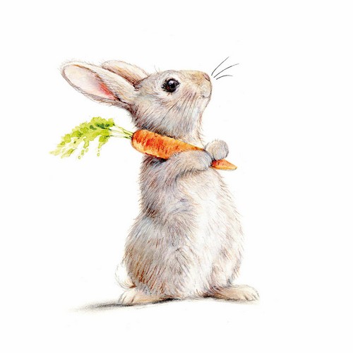 20 Servietten Rabbit & Carrot  - Niedlicher Hase mit Karotte 33x33cm