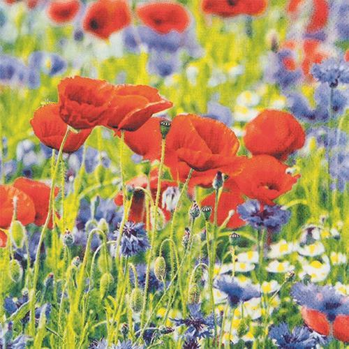 20 Servietten Poppies and Cornflowers - Korn und Mohnblumen 33x33cm