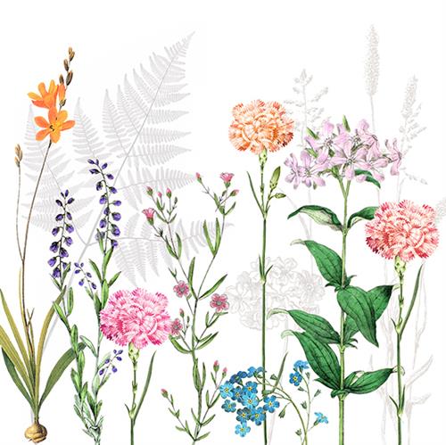 20 Servietten Botanica - Zarte Blumenwiese 33x33cm