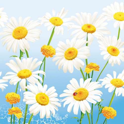 20 Servietten Lovely Marguerites on Blue - Liebevolle Margeriten auf blau 33x33cm