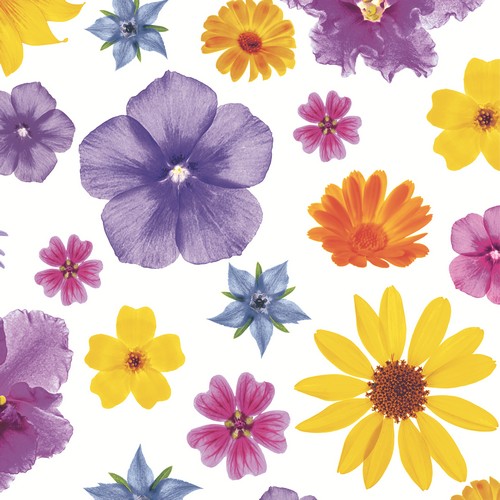 20 Servietten Flower Flair - Blütenvielfalt bunt 33x33cm