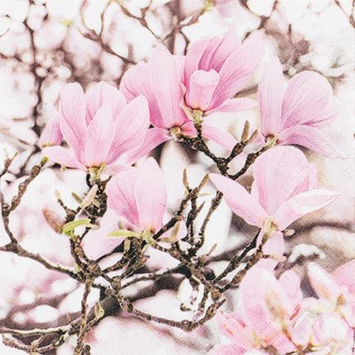20 Servietten Pink Magnolia - Blühende rosa Magnolien 33x33cm