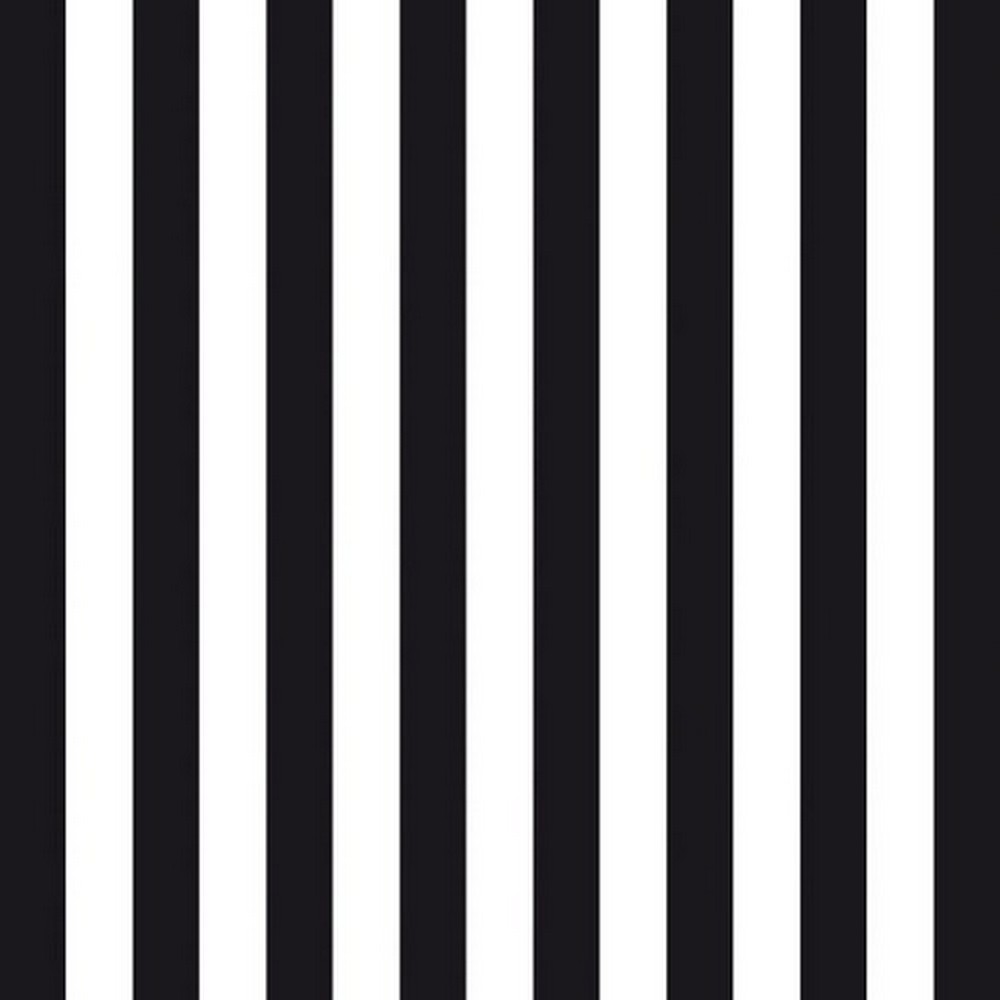 20 Servietten Stripes black - Streifen schwarz/weiß 33x33cm