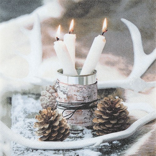 20 Servietten Hyggelig - Gemütliche Winterzeit 33x33cm