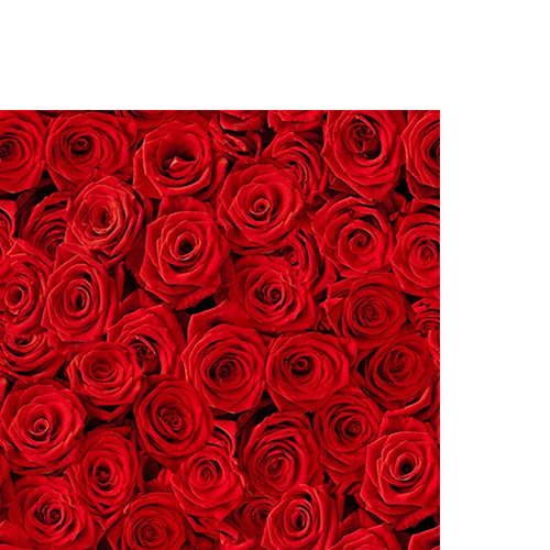 20 small cocktail napkins Beaucoup de Roses - Red rose bed 25x25cm