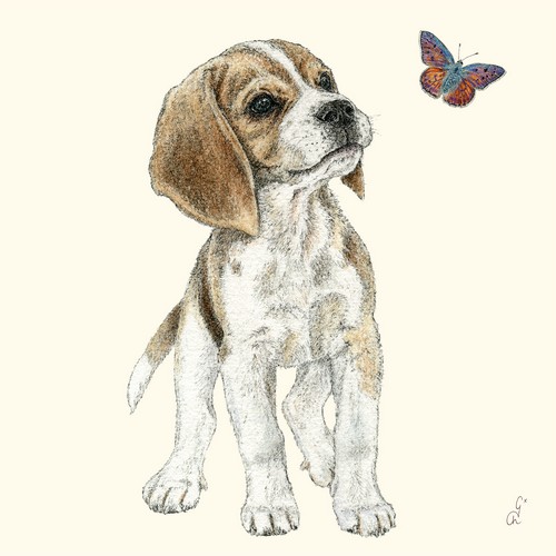 20 Servietten Jean - Kleiner, neugieriger Hund 33x33cm