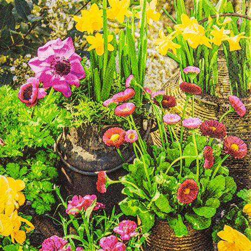 20 Servietten Spring Garden - Garten mit gesammelten Blumen 33x33cm