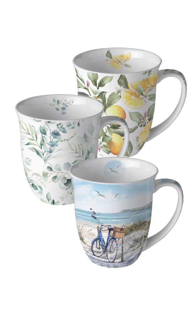 Kategorie Shop fr Taschentcher (170 x 340 px) (300 x 500 px)(12)