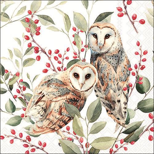 20 Servietten Barn Owl Couple - Eulen an Pflanzen mit grünen Blättern 33x33cm