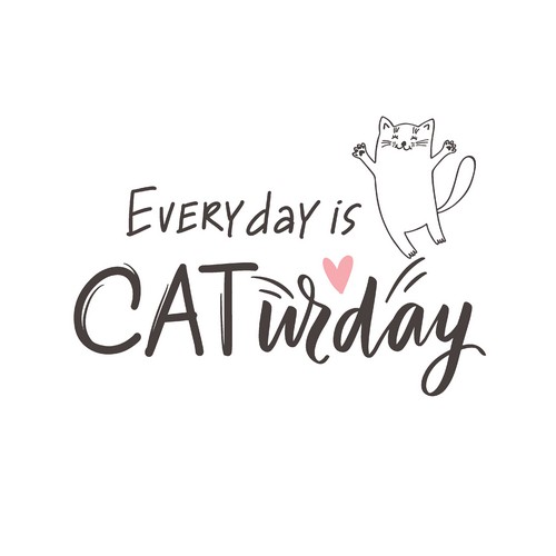 20 Servietten Caturday - Katzentag 33x33cm
