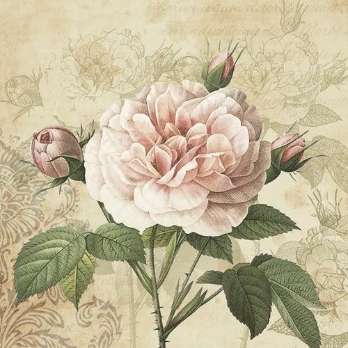 20 Servietten Vintage Rose with Buds – Vintage Rose an Ornamente 33x33cm