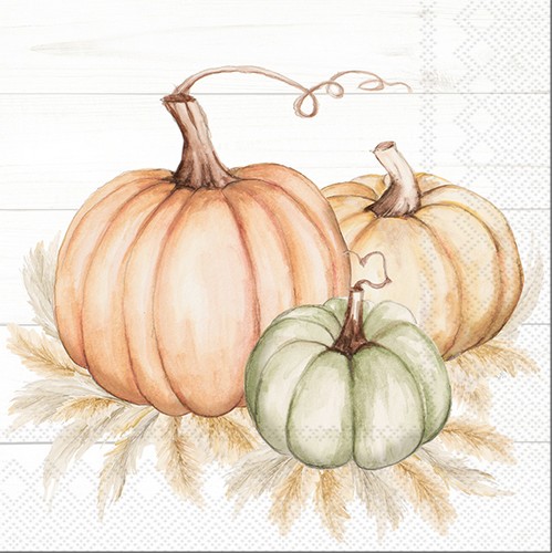 20 Servietten Pumpkin Trio - Kürbisse in pastell 33x33cm
