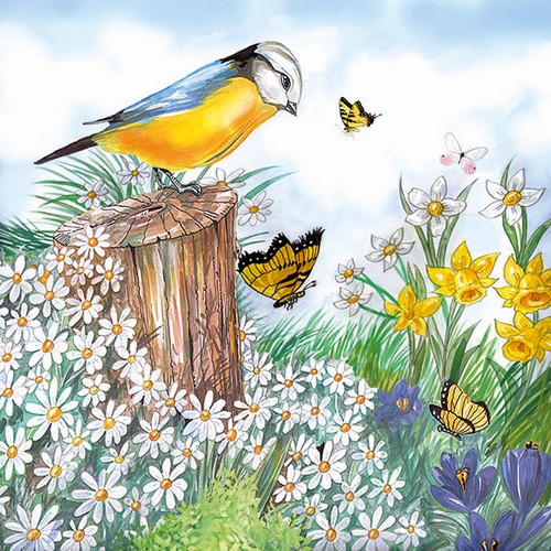 20 Servietten Bird Watching - Vogel beobachtet Frühlingsgeschehen 33x33cm