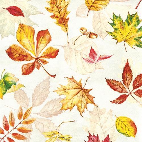 20 Servietten Scattered Foliage - Verstreute Herbstblätter 33x33cm