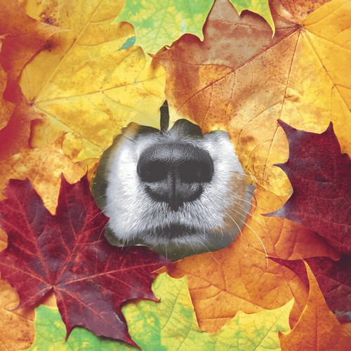 20 Servietten Furry leaf - Hund im Herbstlaub 33x33cm