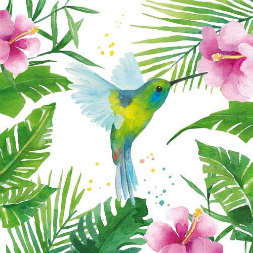 20 Servietten Tropical Hummingbird - Kolibri im tropischen Wald 33x33cm