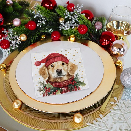 20 Servietten Simon - Hund mit Winter-Outfit 33x33cm