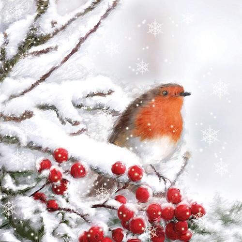 20 Servietten Robin in Snow - Kleiner Vogel in Winterzweige 33x33cm
