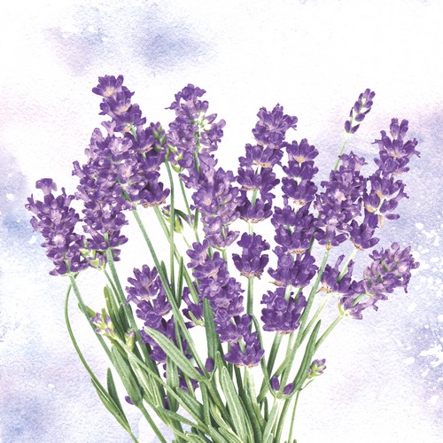 20 Servietten Lavender oasis - Klarer Strauß an Lavendel 33x33cm