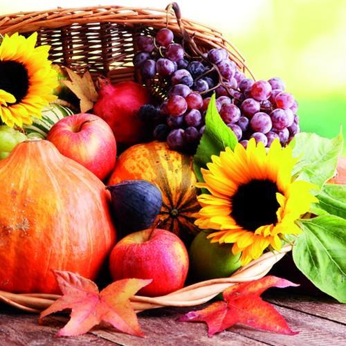 20 Servietten Thanksgiving Dinner – Korb voller Ernte 33x33cm