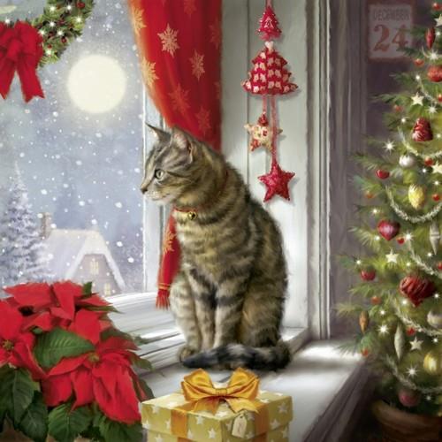 20 Servietten Silent Moment - Katze am Fenster 33x33cm