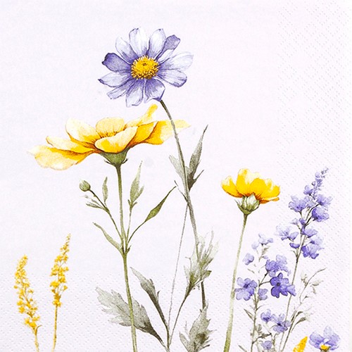 20 Servietten Silvia - Sommerliche Eleganz 33x33cm