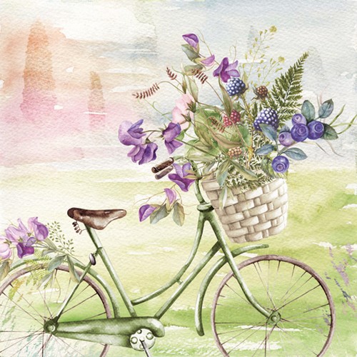 20 Servietten Summer Ride - Fahrrad mit Korb aus der Natur 33x33cm
