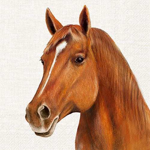 20 Servietten Farm Horse - Einzelnes Pferd 33x33cm