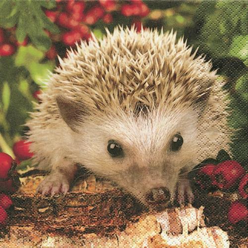 20 Servietten Barnie - Der Igel Barnie 33x33cm
