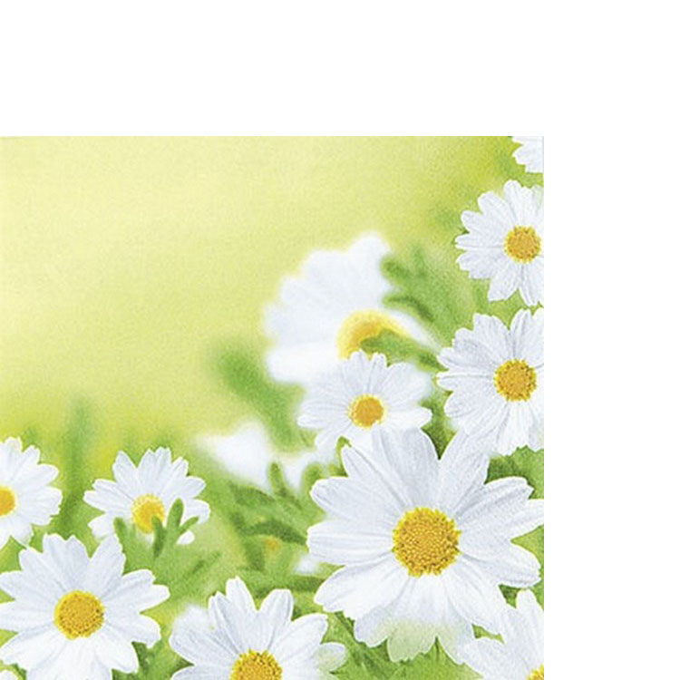 20 kleine Cocktailservietten White Daisies - Hübsches Margeritenfeld 25x25cm