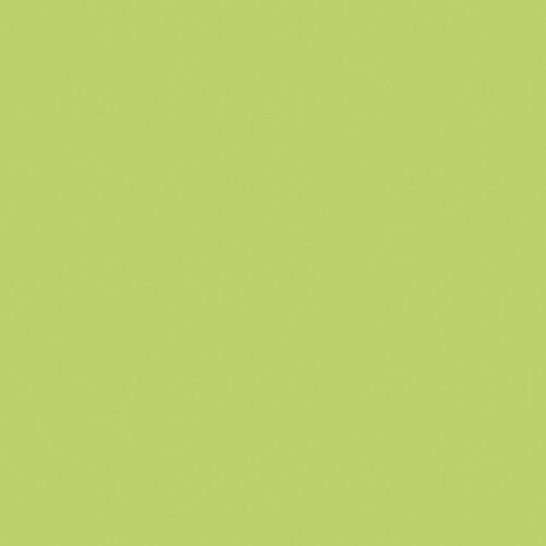 20 Servietten Unicolor anise green - grün 33x33cm