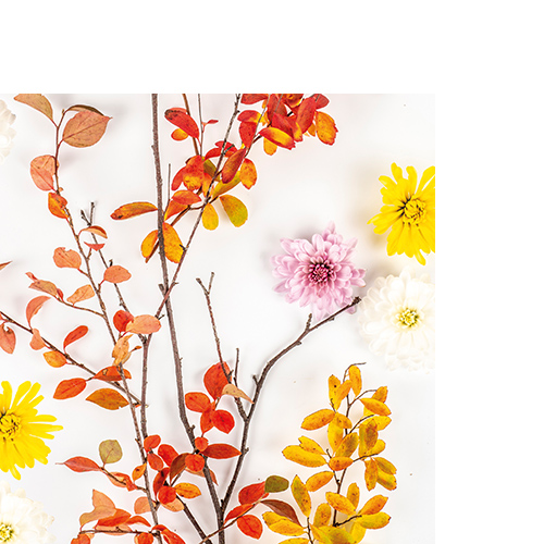 20 kleine Cocktailservietten Autumn Branch - Zweige mit Herbstfarben 25x25cm
