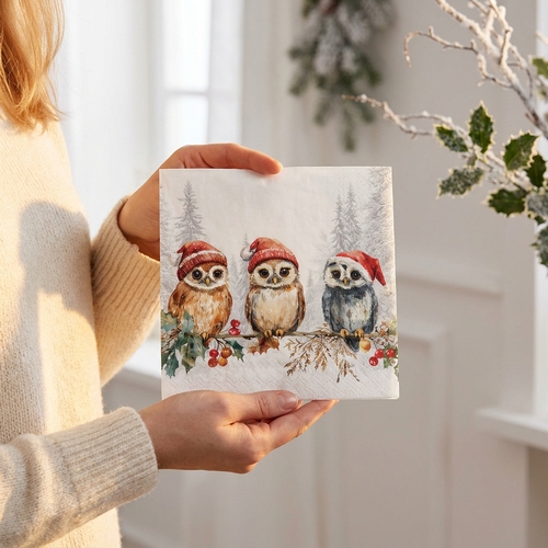 20 Servietten Wise Owls - Eulen mit Weihnachtsmütze 33x33cm
