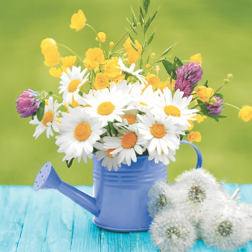 20 Servietten Garden Beauty - Mageriten in kleiner Kanne 33x33cm
