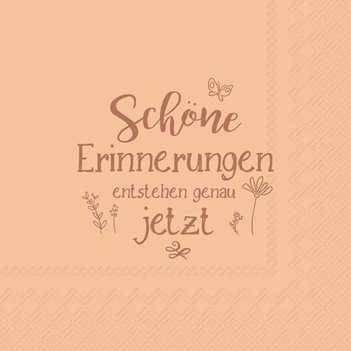 20 Servietten Schöne Erinnerungen - Jetzt entstehen Erinnerungen 33x33cm