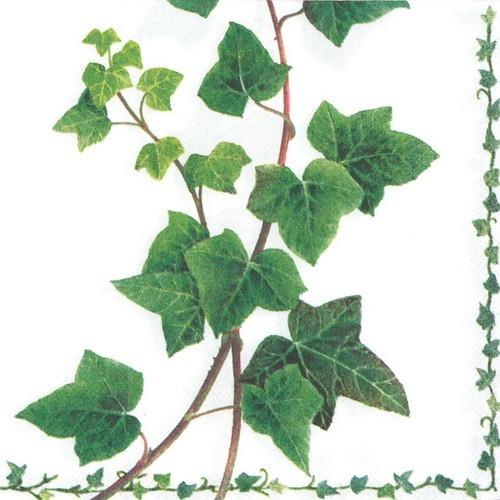 20 Servietten Ivy Tendril - Efeublätter aus der Natur 33x33cm