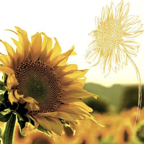 20 Cocktailservietten Dusk Sunflower 24x24cm