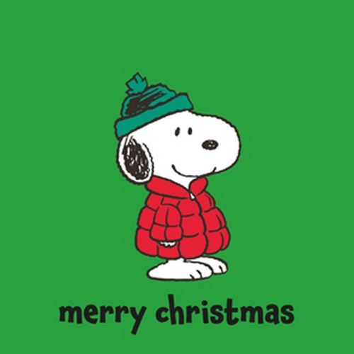 20 Servietten Snoopy Cool grün - Snoopy in Winterjacke grün 33x33cm