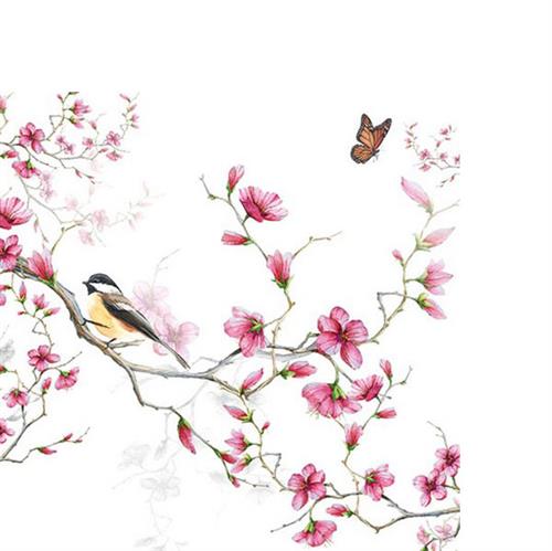20 kleine Cocktailservietten Bird & Blossom white - Vogel an pinke Blüten 25x25cm