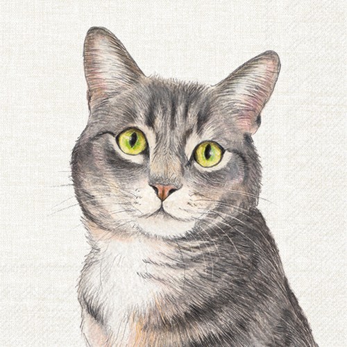 20 Servietten Farm Cat - Einzelne Katze 33x33cm