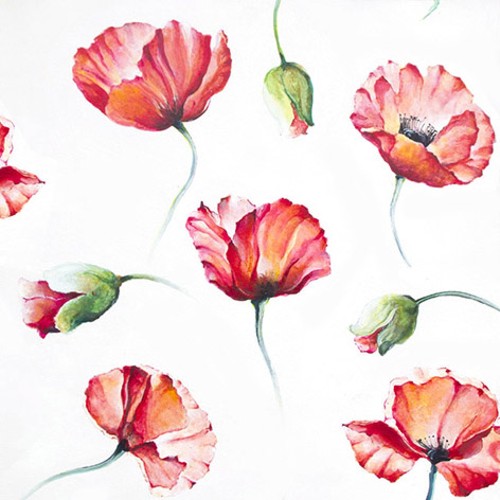 20 Servietten Poppy Drawing - Gemalte Mohnblumen 33x33cm